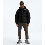 Men's The North Face Hmlyn Down Parka