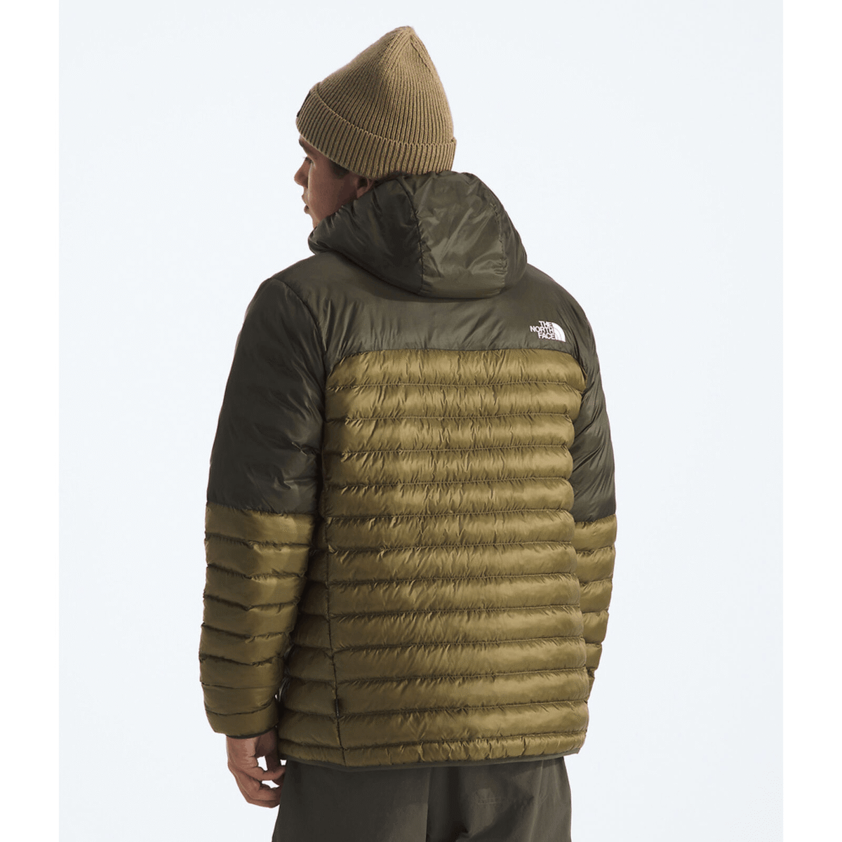 Men's The North Face Olive Terra Peak Hooded Jacket